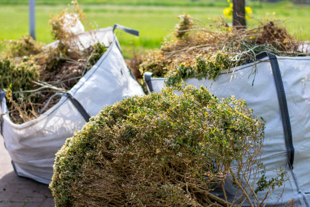 Best Furniture Removal Near Me  in Topton, PA
